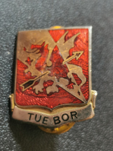 Alter army pin - us,