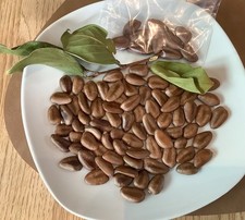 Indianerbanane/ Paw Paw-10