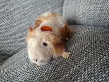 Steiff Meerschweinchen