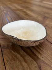 Kokosnuss Schale Schüssel