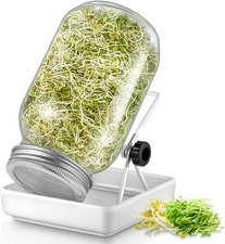 Sprossen Keimglas 1er Set