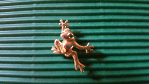 Energetix bingen frosch - energetix,
