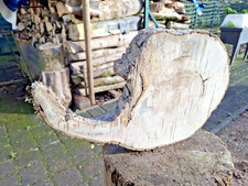 Baumscheibe ESCHE Tropfen 30 x