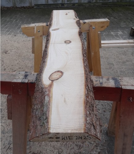 Kiefer,Bohle,Baumstamm,Drechse