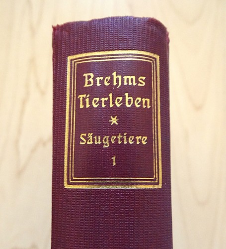 Buch von 1924 - brehms, tierleben