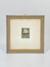 * ALPENROSE RADIERUNG AQUA