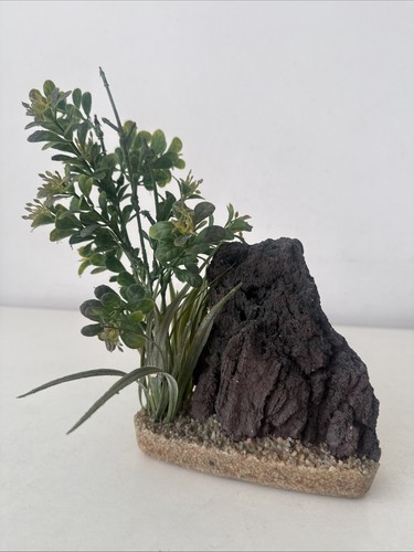 Felsen bepflanzt meeresriff - bepflanzt,