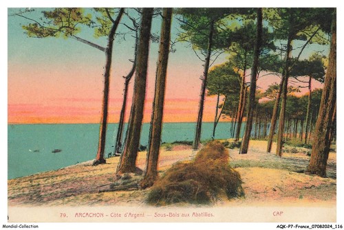 Aqkp7 0529 arcachon - -,