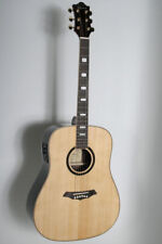 Lenus-s-NA, 41` Westerngit., EQ-Fishman, MH-Wilkinson, Decke: Fichte massiv, B&Z