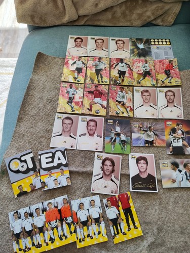 Panini team cards 2006 - panini,