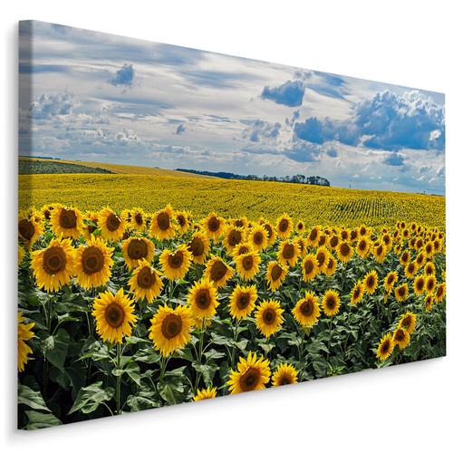 Canvas leinwand bilder - leinwand,