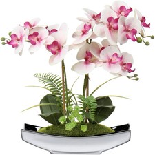 Kunstpflanzen orchideen - kunstpflanzen,