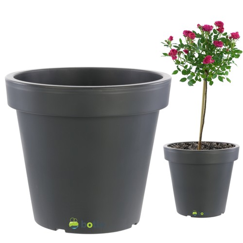 Großartig blumentopf - großartig,