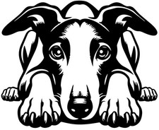 WHIPPET Aufkleber - Whippet