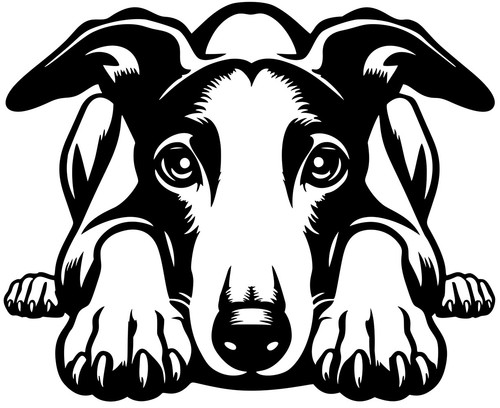 Whippet aufkleber - -,