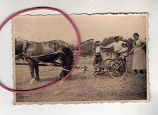 Photo foto pferdegespann mit - photo,