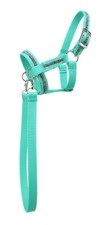 Mustang Hobby Horse Halfter