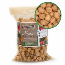 Walnüsse in Schale aus Grenoble Speisequalität Ernte 2025