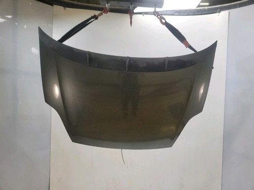 Motorhaube fiat punto evo - fiat,