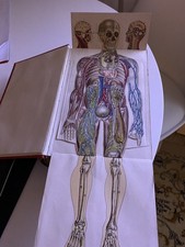 Bilz, das neue Natur-Heilverfahren, Lehr- und Nachschlagebuch, Jubiläums-Ausgabe