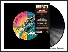 Pink Floyd "wish you were