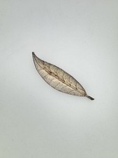 Brosche Silber 5,75g Blatt Floral Blumen fein Herbst Schmuck Damen GS87-G37