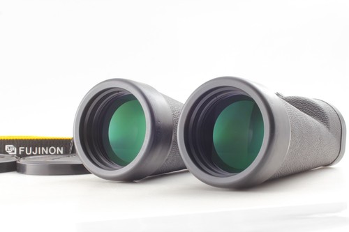 Near mint fuji - [,