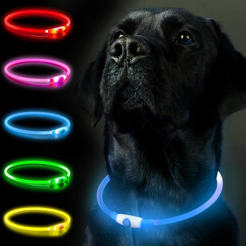 Leuchthalsband für hunde - für,
