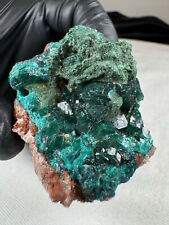 Schöne Top Dioptas Malachit Edelstein Stufe Tiefgrün 295 Karat Natur Qualität