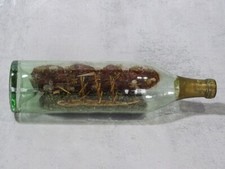 Buddelschiff, Schiff in