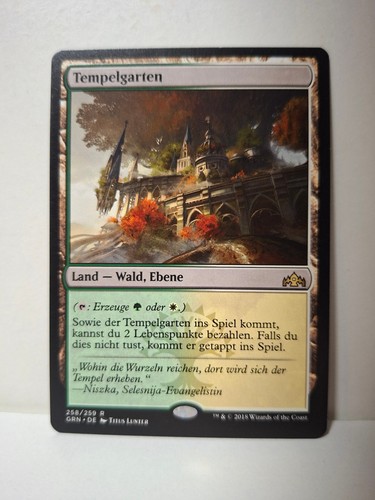 Magic the gathering - the,