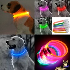 Leuchtende LED Hundehalsband