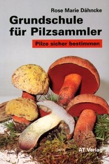 Grundschule für pilzsammler - grundschule,