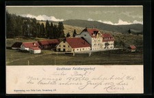 Ansichtskarte Feldberg / Schwarzwald, Gasthaus Feldbergerhof 1902 