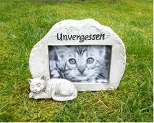 'Katze mit Fotorahmen /