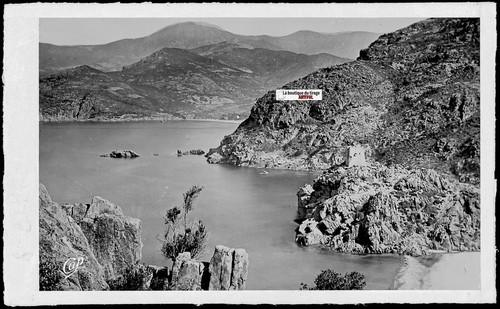 Foto negativplatte schwarz - negativplatte,