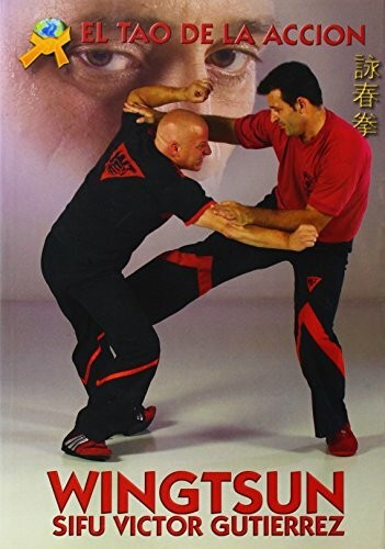 Wingtsun das tao aktion - in,