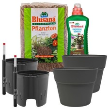 Hydrokultur Komplett-Set