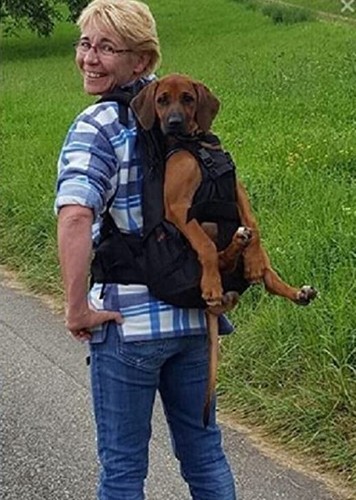 Leg free dog carrier - dog,