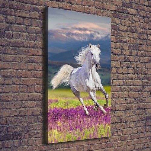 Leinwand bild kunstdruck - leinwand-bild,
