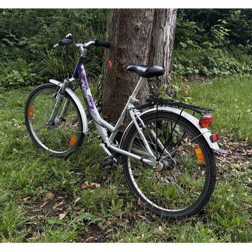 Pegasus city bike zoll - pegasus,
