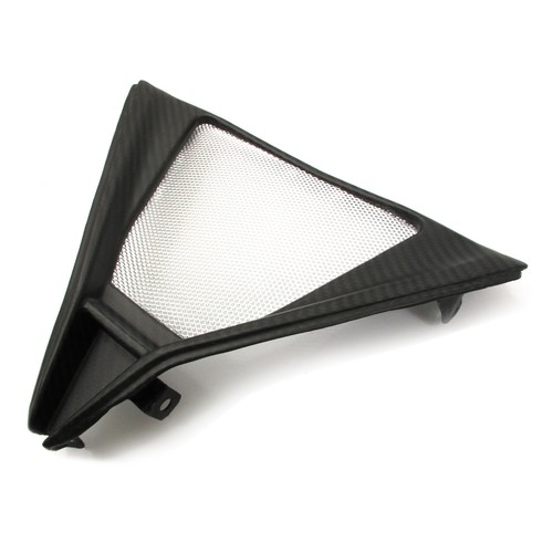 Carbon bugspoiler - carbon,