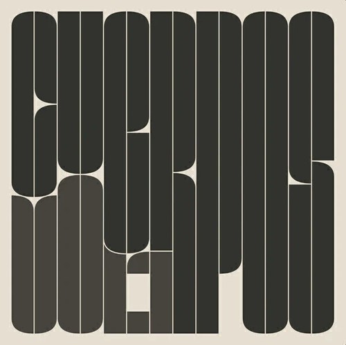 Vinyl babasonicos cuerpos - babasonicos,