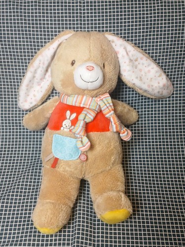 Hase nicotoy - , 🌟