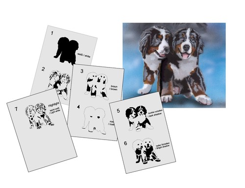 342 hund bernersennen step - as-342,