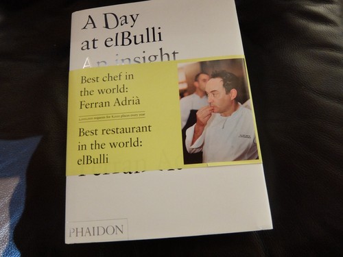 Day bulli an insight - a,