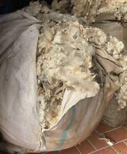 Schafwolle, Rohwolle, unsortiert, ungereinigt, naturbelassen,Dünger