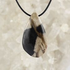 Budawi® Versteinerter