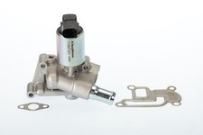BORGWARNER (WAHLER) AGR-VENTIL