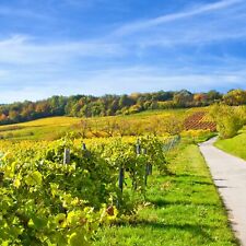 3ÜN Reisegutschein 2 Personen | 4* Hotel Bad Dürkheim + F + Wellness Kurzreise